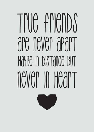 60 funny friend and crazy best friend quotes 5