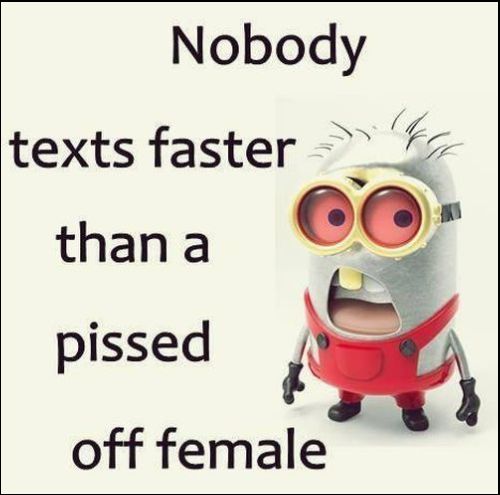 humorous funny minions quotes