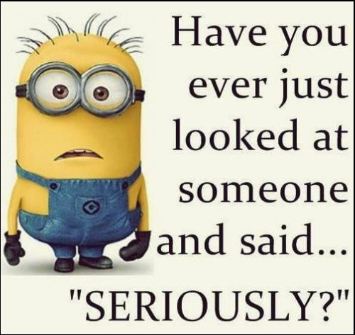humorous minions images with quotes