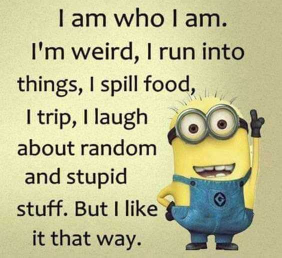 25 Funny Quotes Of The Day 18 18. “I am who I am. I'm weird, I run into things, I spill food, I trip, I laugh o about random and stupid stuff. But I like it that way.”