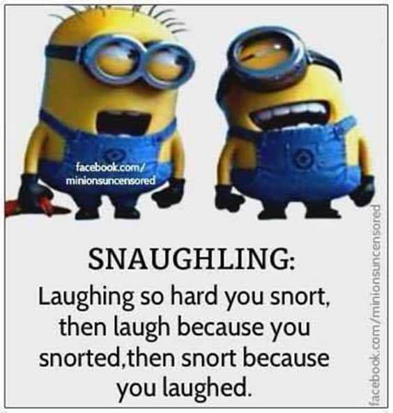 25 Funny Quotes Of The Day 20 20. “Snaughling: laughing so hard you snort, then laugh because you snorted, then snort because you laughed.”