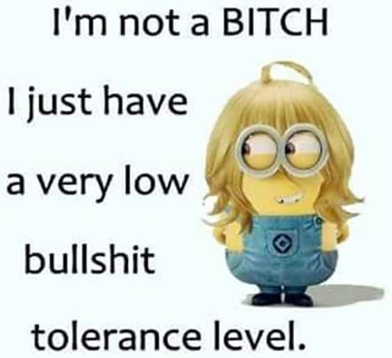 25 Funny Quotes Of The Day 22 22. “I'm not a bitch I just have a very low bullshit tolerance level.”