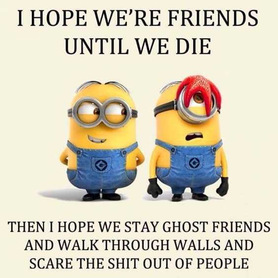 25 Funny Quotes Of The Day 3 “I hope we're friends until we die 10 1 then I hope we stay ghost friends and walk through walls and scare the shit out of people.”