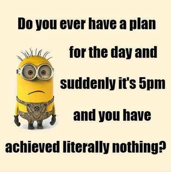 25 Funny Quotes Of The Day 6 “Do you ever have a plan for the day and suddenly it's 5pm and you have achieved literally nothing?”