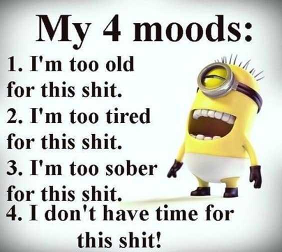 “My 4 moods: 1. I'm too old for this shit. 2. I'm too tired for this shit. 3. I'm too sober for this shit. 4. I don't have time for this shit!”
