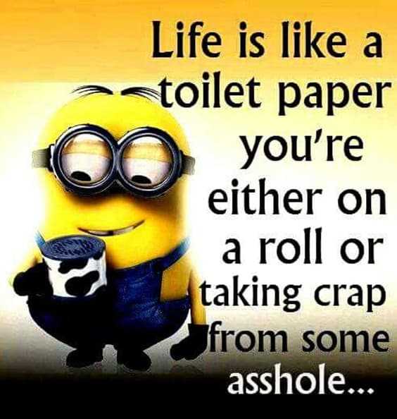 “Life is like a toilet paper you're either on a roll or taking crap from some asshole.”