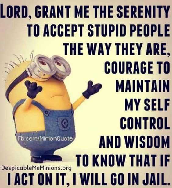 “Lord, grant me the serenity to accept stupid people the way they are, fb.com/minionquote despicablememinions.org courage to maintain my self control and wisdom to know that if I act on it, I will go.”