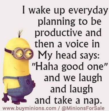 36 Funny Minions Quotes You’re Going To Love 2