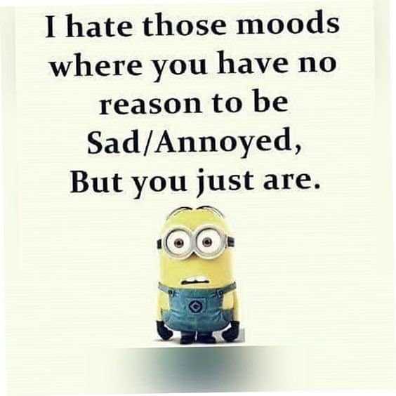 Funny Minions Quote You’re Going To Love #funny quotes unknown