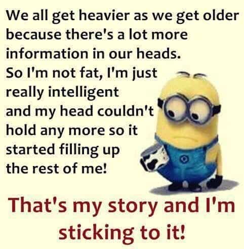 36 Funny Minions Quotes You’re Going To Love 25