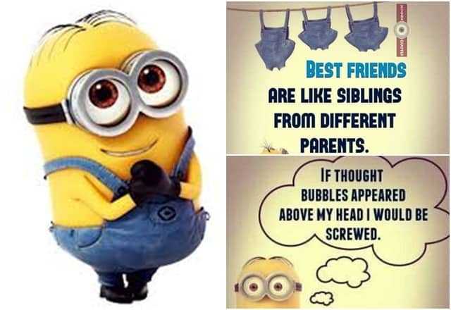 36 Funny Minions Quotes You’re Going To Love
