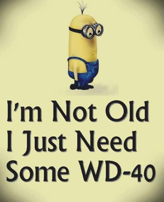 37 Very Funny minions Quotes 17