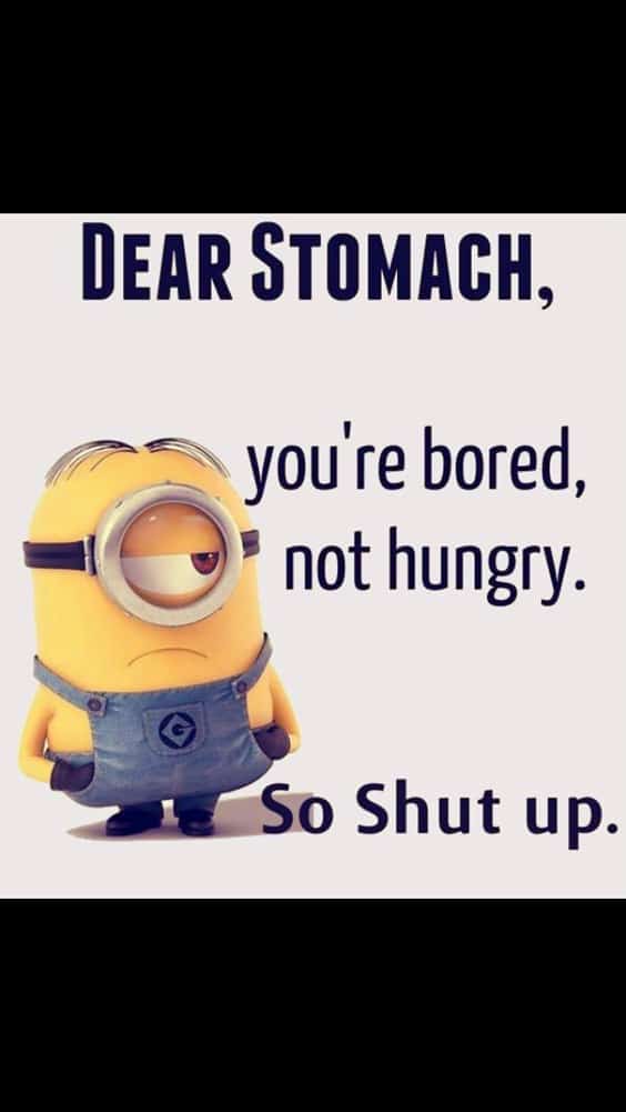 37 Very Funny minions Quotes 2