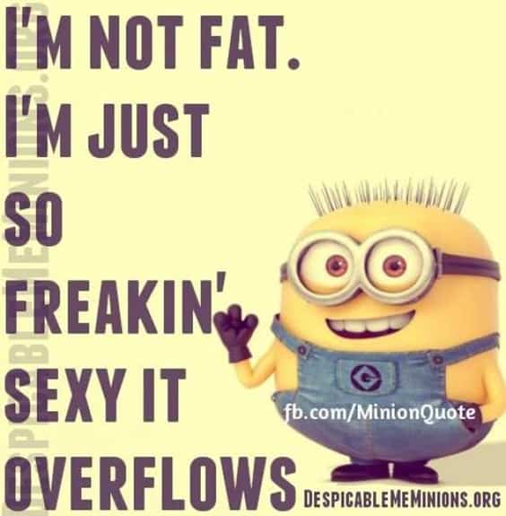 37 Very Funny minions Quotes 27