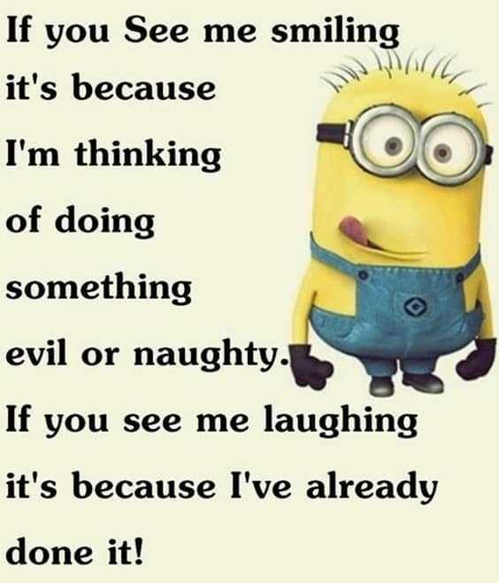 37 Very Funny minions Quotes 37
