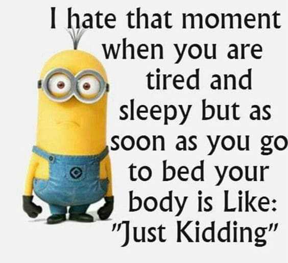 37 Very Funny minions Quotes 5