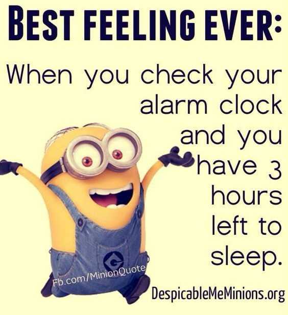 142 Ultimate Funny Quotes Of The Day DailyFunnyQuote
