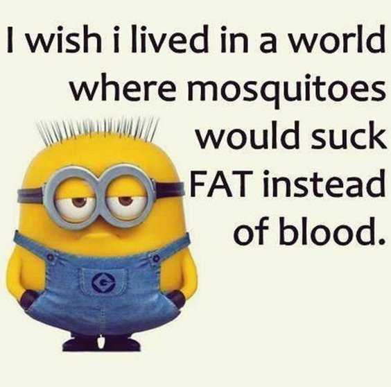 Funny Short Sentences 73+ Relatable Funny Quotes of the Day to Survive Your 9-to-5 Grind ...