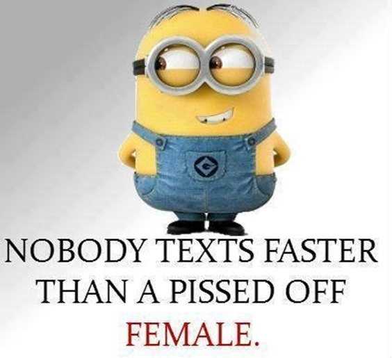 57 Funny Minion Quotes Of The Week And Funny Sayings 15