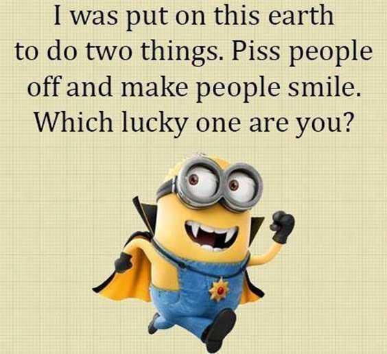 57 Funny Minion Quotes Of The Week And Funny Sayings 4