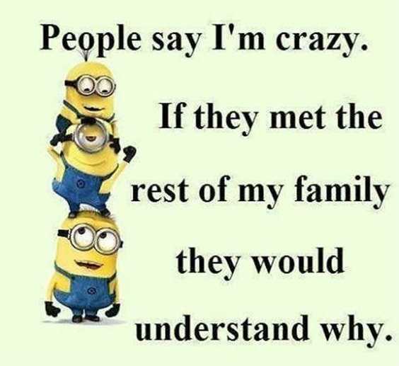 57 Funny Minion Quotes Of The Week And Funny Sayings 54