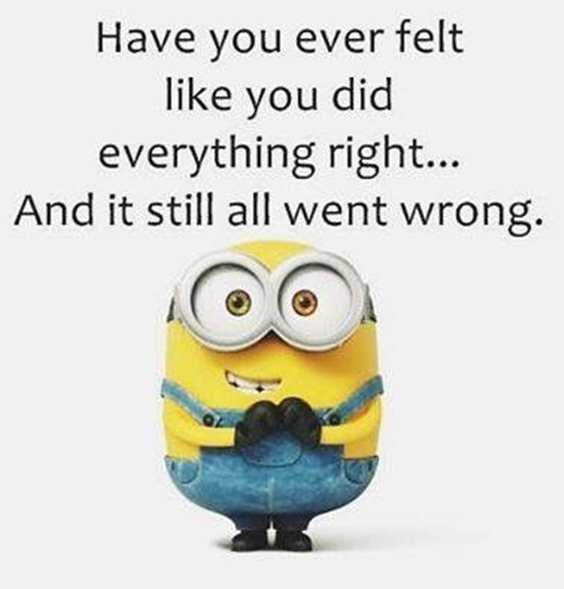 57 Funny Minion Quotes Of The Week And Funny Sayings 7