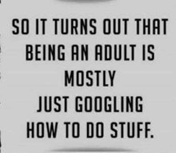 57 Funny Things That Escalated WAY Too Quickly 54 57 Funny Things That Escalated WAY Too Quickly 54