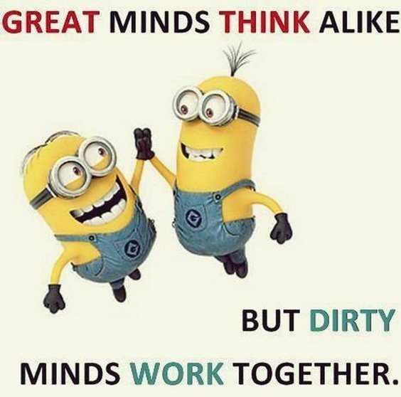 65 Best Funny Minion Quotes And hilarious pictures to laugh 14