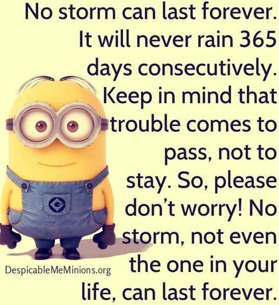65 Best Funny Minion Quotes And hilarious pictures to laugh 17