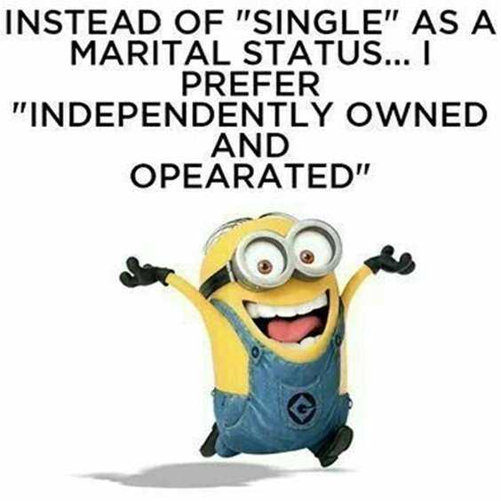 65 Best Funny Minion Quotes And hilarious pictures to laugh 30