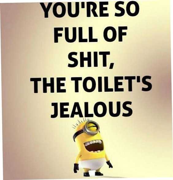 65 Best Funny Minion Quotes And hilarious pictures to laugh 60