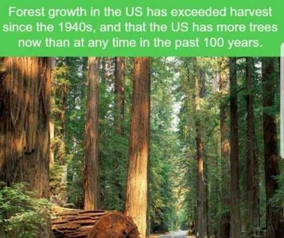 Top 77 Funny Memes And Hilarious Sayings 17