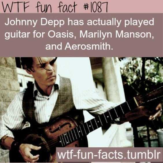 Top 77 Funny Memes And Hilarious Sayings 19