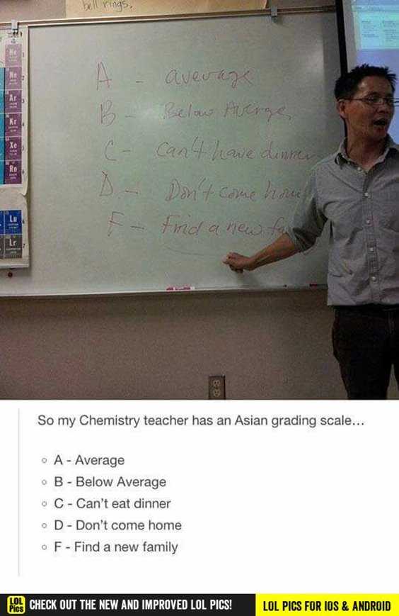 Top 77 Funny Memes And Hilarious Sayings 33 Top 77 Funny Memes And Hilarious Sayings 33