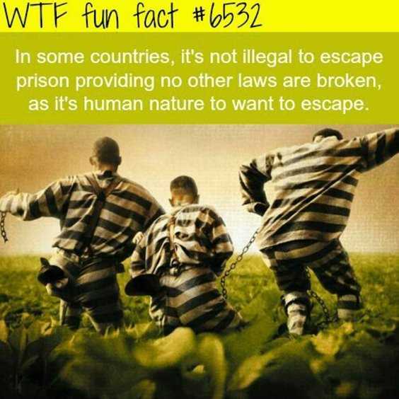 Top 77 Funny Memes And Hilarious Sayings 40 Top 77 Funny Memes And Hilarious Sayings 40