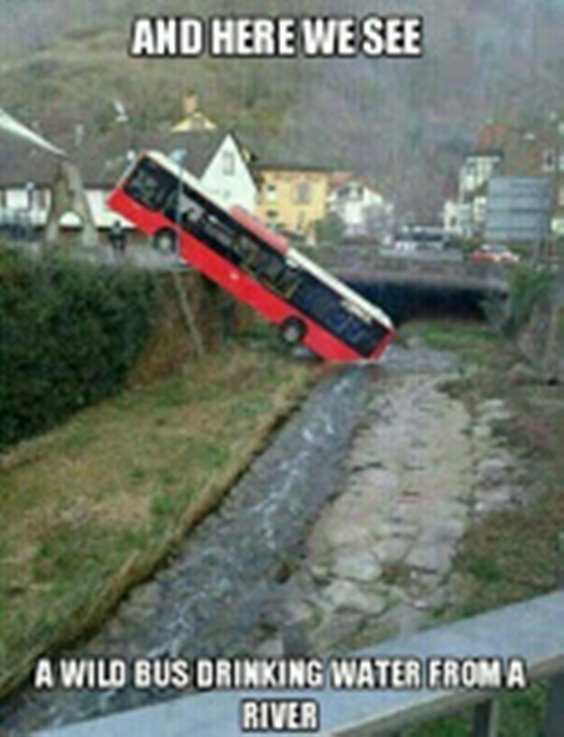 Top 77 Funny Memes And Hilarious Sayings 55 Top 77 Funny Memes And Hilarious Sayings 55