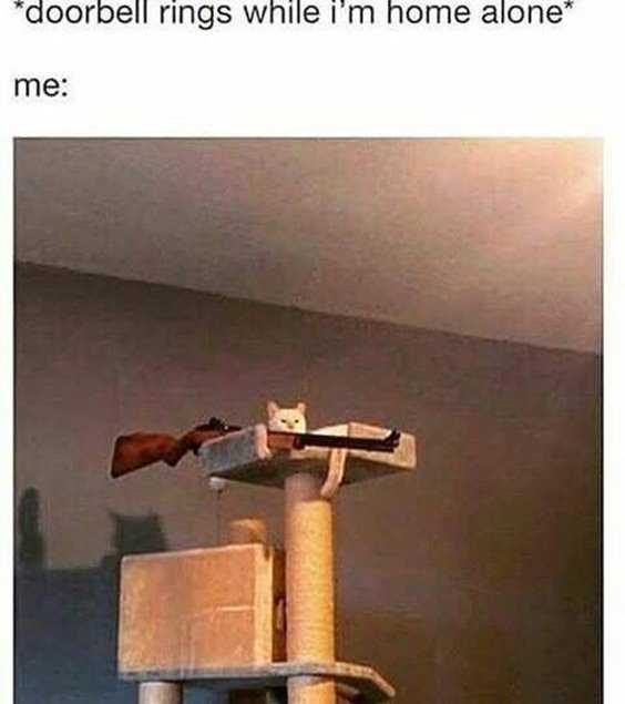 Top 77 Funny Memes And Hilarious Sayings 59 Top 77 Funny Memes And Hilarious Sayings 59