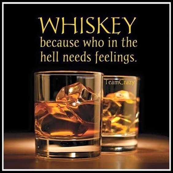 Top 77 Funny Memes And Hilarious Sayings 72 Top 77 Funny Memes And Hilarious Sayings 72