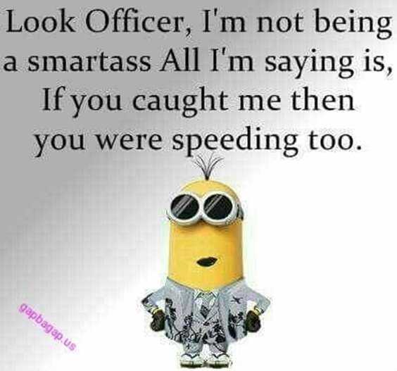 Top 97 Funny Minions quotes and sayings 15