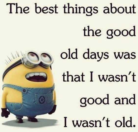 Top 97 Funny Minions quotes and sayings 16