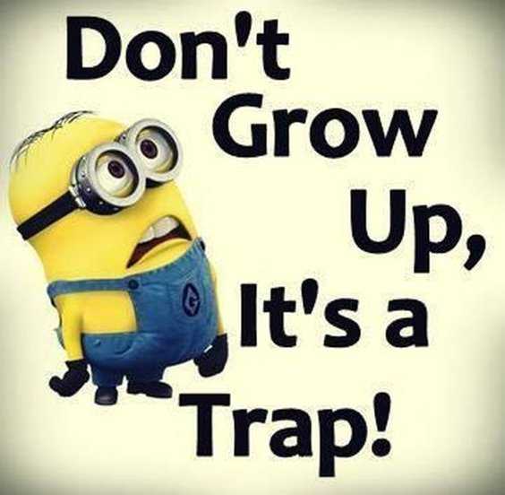 Top 97 Funny Minions quotes and sayings 21
