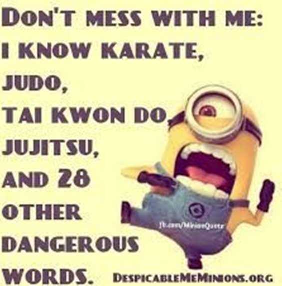 Top 97 Funny Minions quotes and sayings 23
