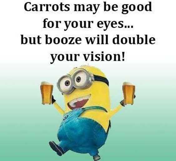 Top 97 Funny Minions quotes and sayings 41
