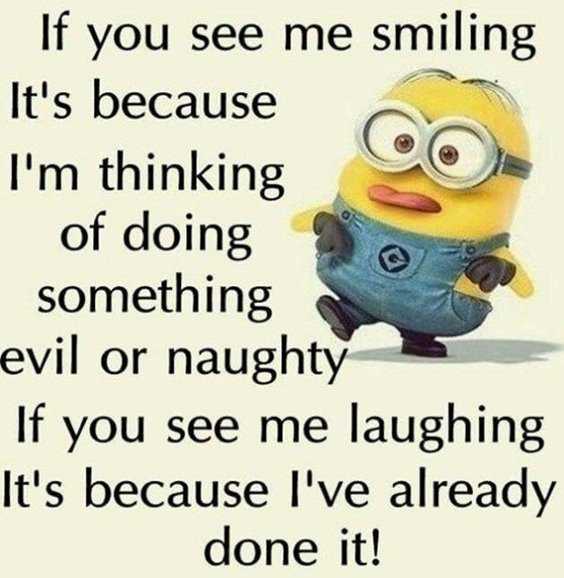 Top 97 Funny Minions quotes and sayings 42