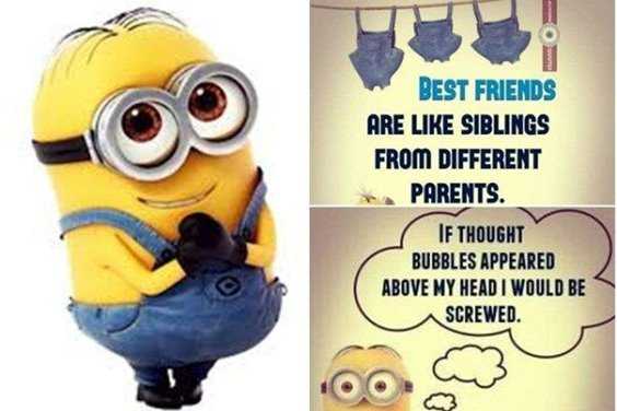 Top 97 Funny Minions quotes and sayings 49