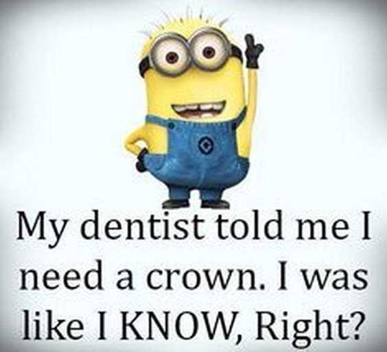 Top 97 Funny Minions quotes and sayings 52