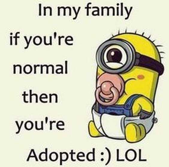 Top 97 Funny Minions quotes and sayings 74