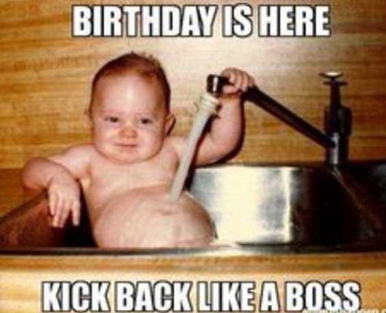 42 Happy Funny Birthday Images Funny Birthday Pictures 23
