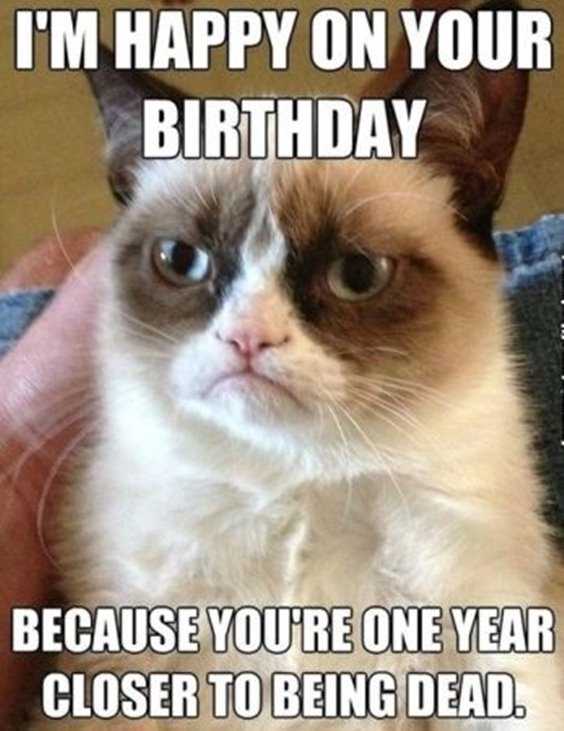 42 Happy Funny Birthday Images Funny Birthday Pictures 37