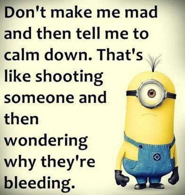 Minions Quotes Top 370 Funny Quotes With Pictures Sayings 13